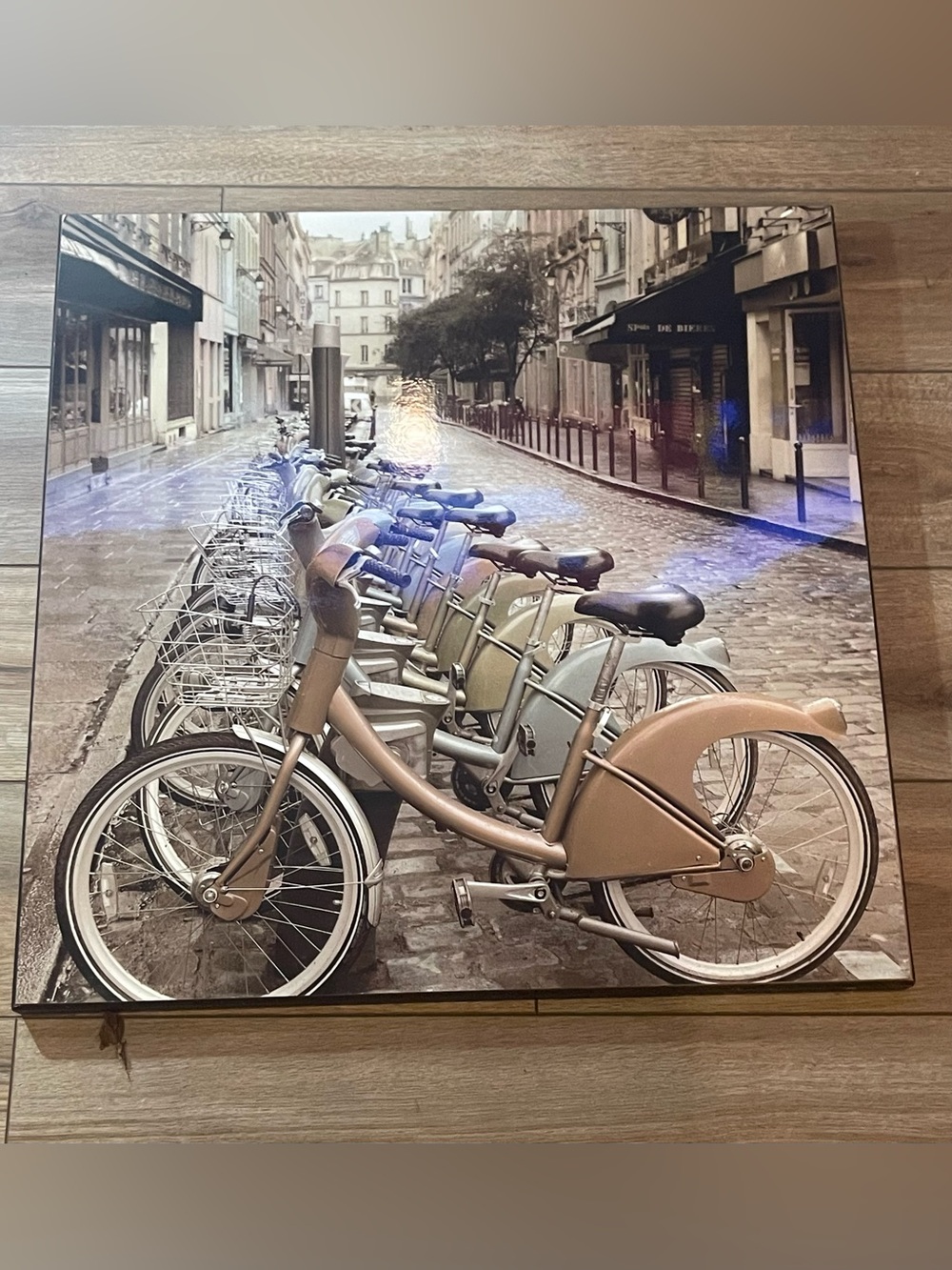 Paris Bicycle Street Scene Wall Art Canvas 26” x 25.5” Neutral European Decor